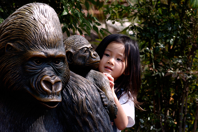 20050416 152150 4714
Ximina has joined a family of bronze monkeys.  She observes the baby with youthful curiosity.
