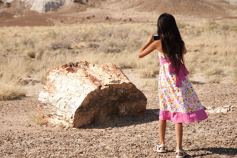 20090802 155952 1210
Ximina photographs a chunk of petrified wood at the Arizona Petrified Forest National Park.  She took lots of photos on this expodition and had tons of fun.
