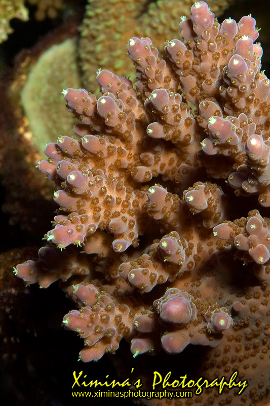 20050813 132108 7975
