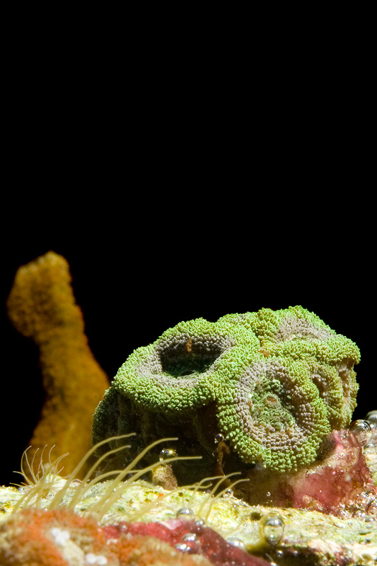 20050611 184524 0199
