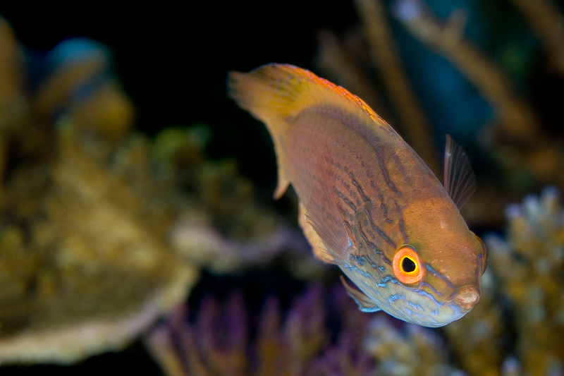 20050611 211602 0326
