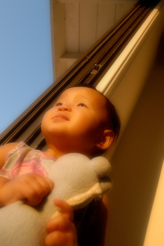 20040617 193244 0963
Sissy seeks comfort with her dino stuffed toy as she gathers the last warming rays from the setting sun.
