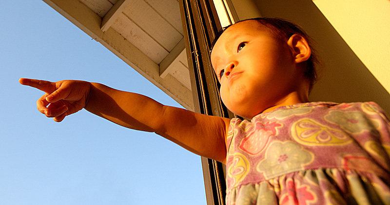 20040617 193254 0968
Sissy points at the setting sun as she gets ready for the end of the day.
