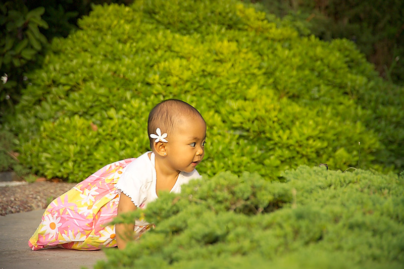 20040716 184308 2448
A baby crawls around exploring the world around her in the gardens of the studio.
